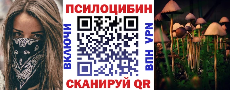 Псилоцибиновые грибы Psilocybine cubensis  Котельниково 